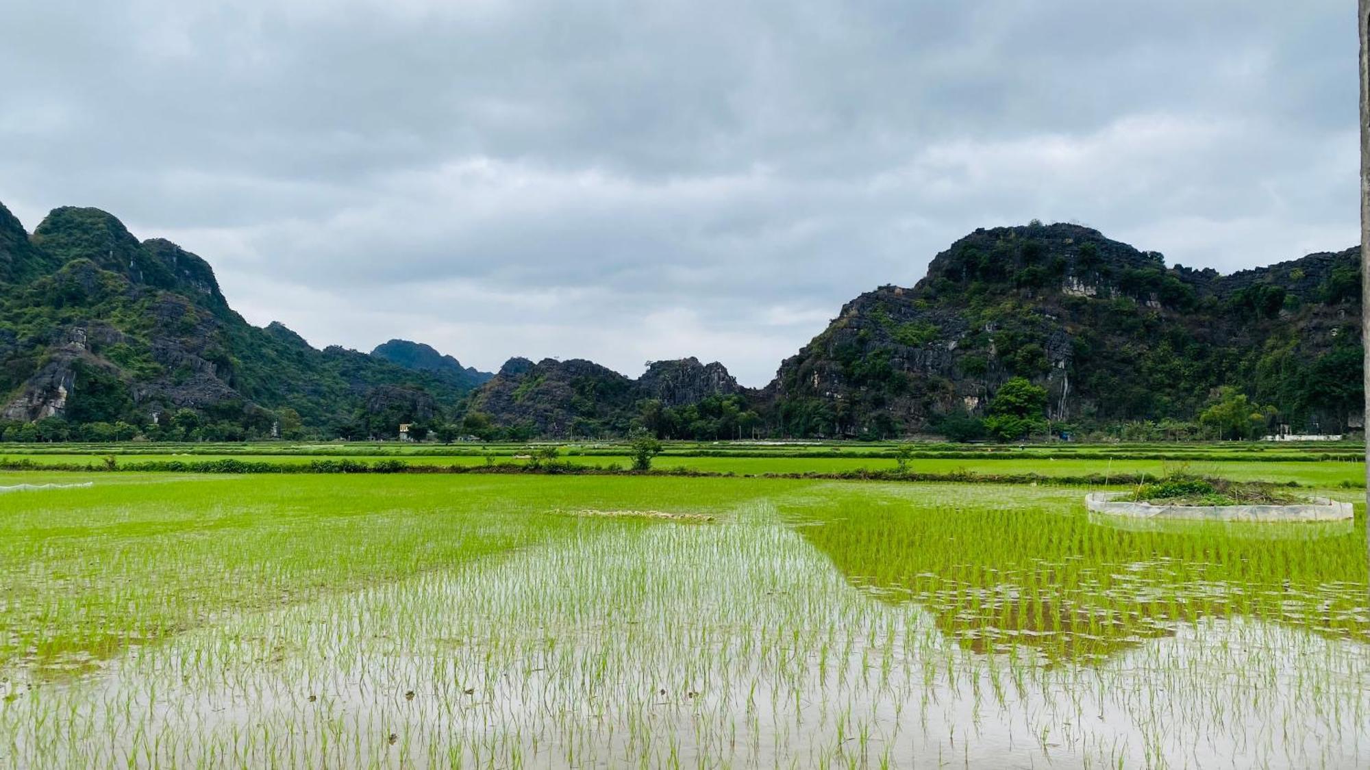 Ohayo Tam Coc Homestay Ninh Binh Exteriér fotografie