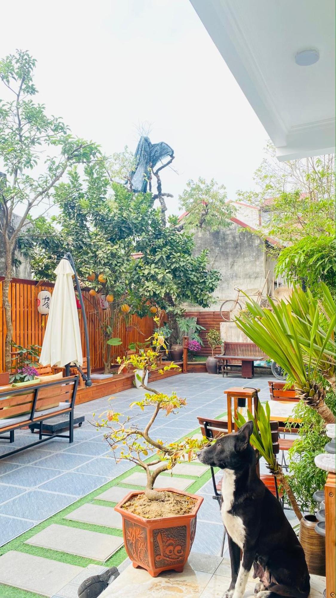 Ohayo Tam Coc Homestay Ninh Binh Exteriér fotografie